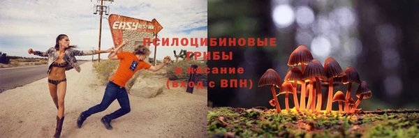 гидропоника Алексин