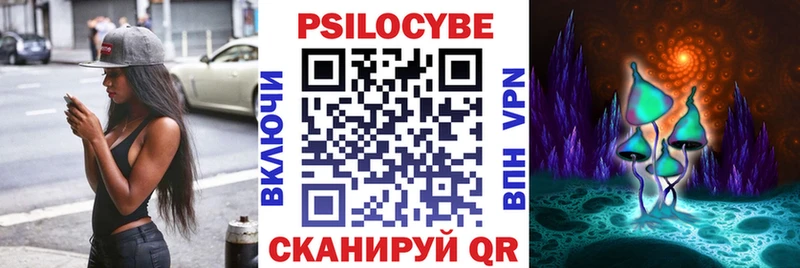 Псилоцибиновые грибы Psilocybine cubensis  Аткарск 